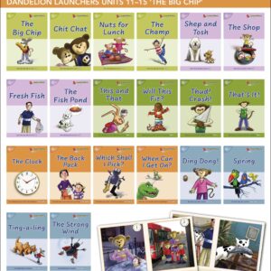 Dandelion Launchers Units 11-15 (20 books) 'The Big Chip'