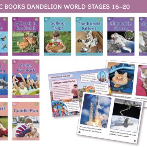 Dandelion World Non-fiction - Stages 16-20 (10 books) 'Catch the Fun!'