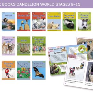 Dandelion World Non-fiction - Stages 8-15 (16 books) 'Kids at Camp'